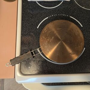 The Burton 8" induction pan
